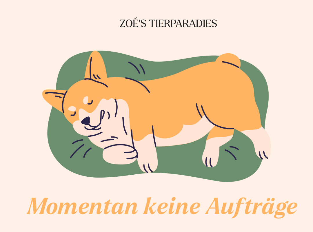 Momentan nehme ich keine Aufträge an